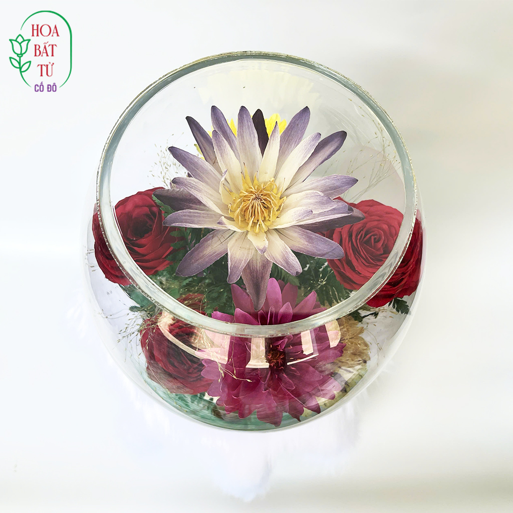 Ngọc Liên Hồng Sắc