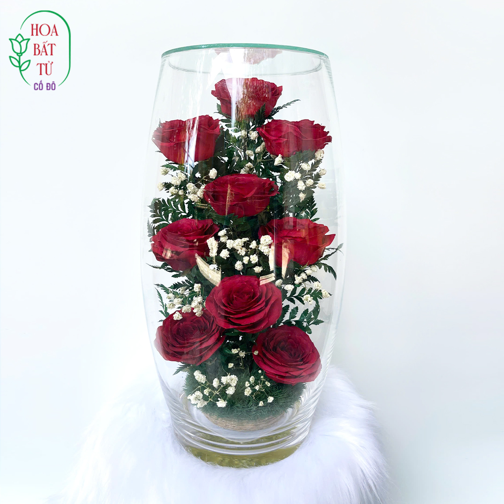 Hồng Ngọc Trường Cữu