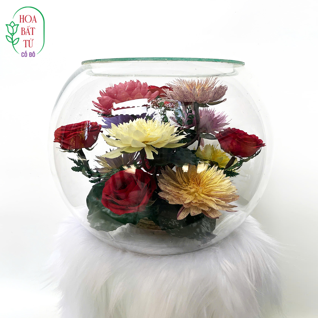 Ngọc Hồng Cẩm Tú