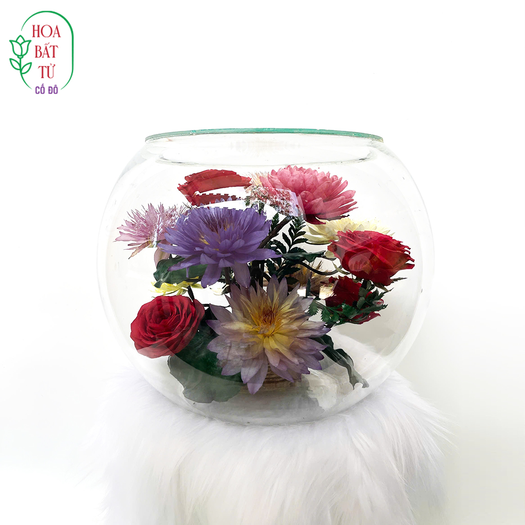 Hồng Cúc Ngọc Vân