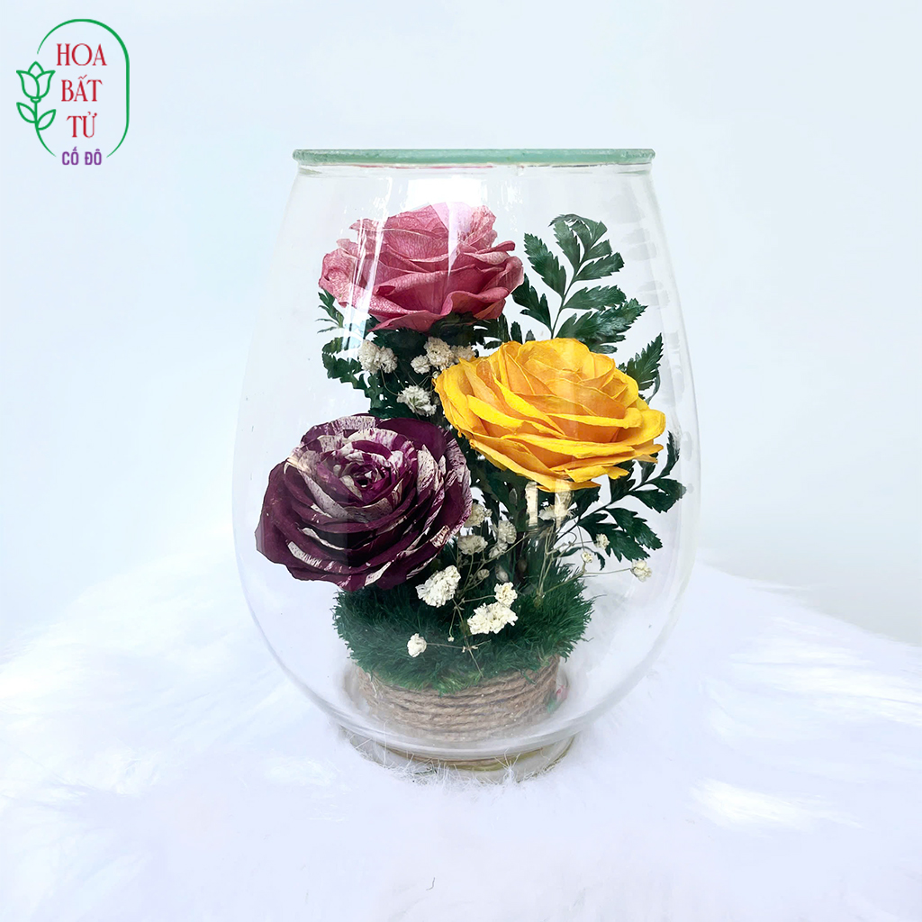 Tam Hồng Vĩnh Hoa