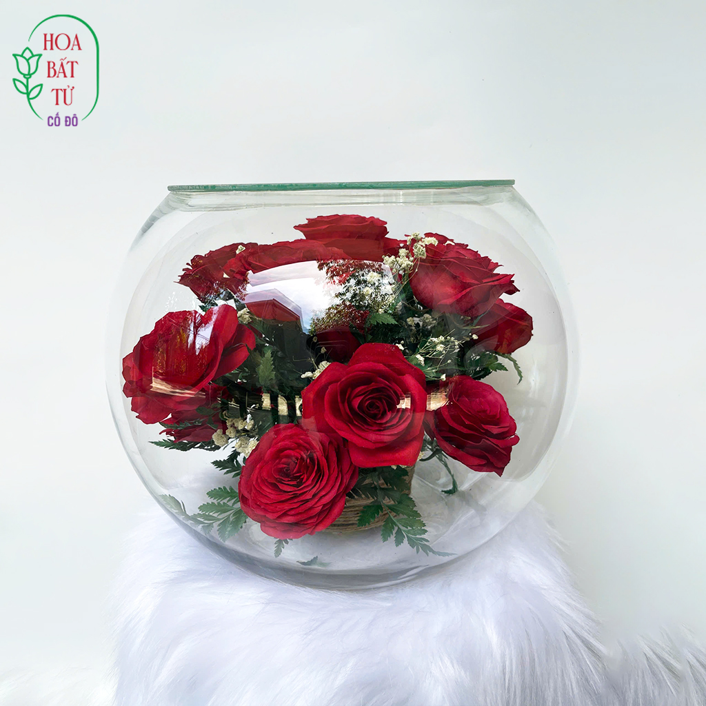 Hồng Nguyệt Quang