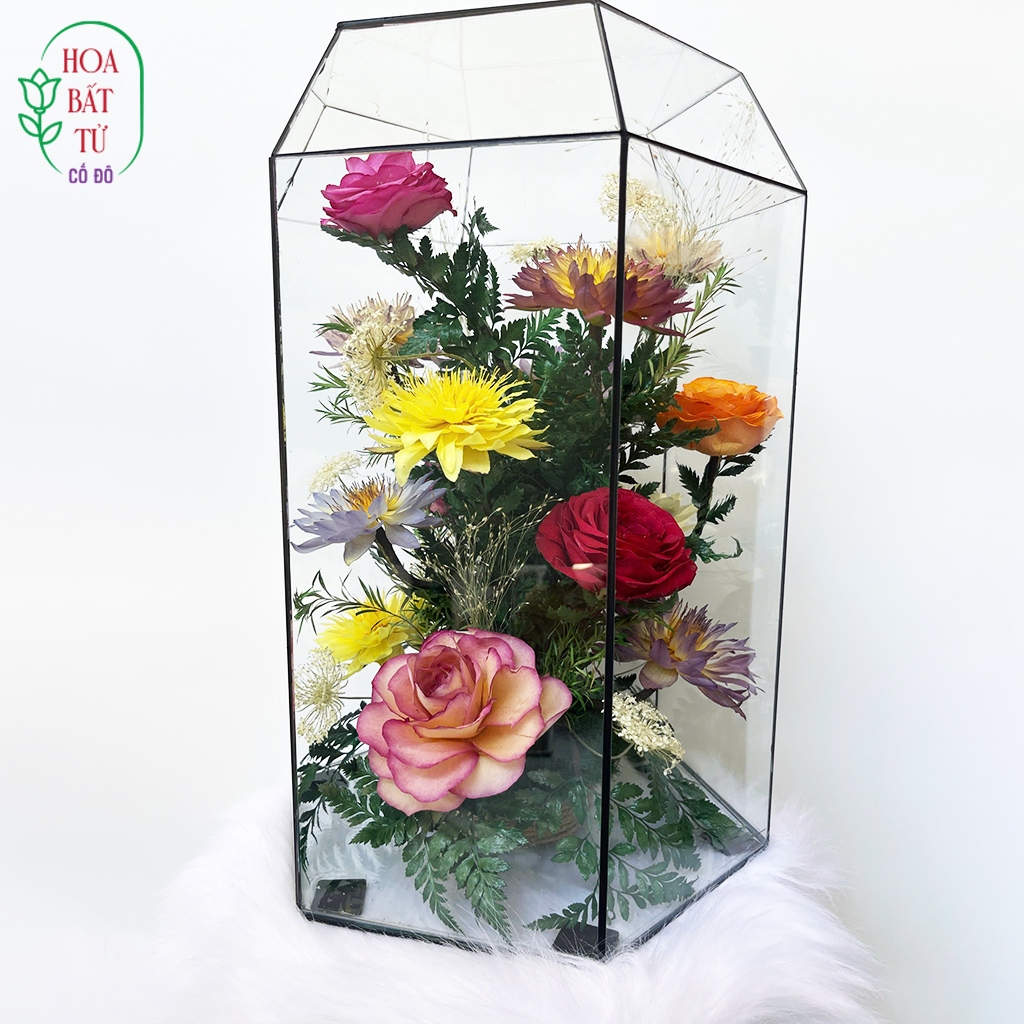 Vân Hoa Ngọc Các