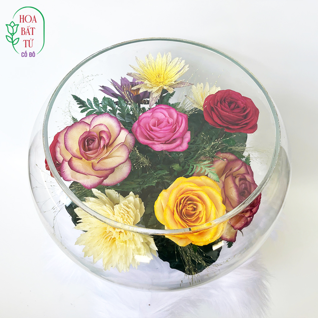 Vũ Trụ Sắc Hương