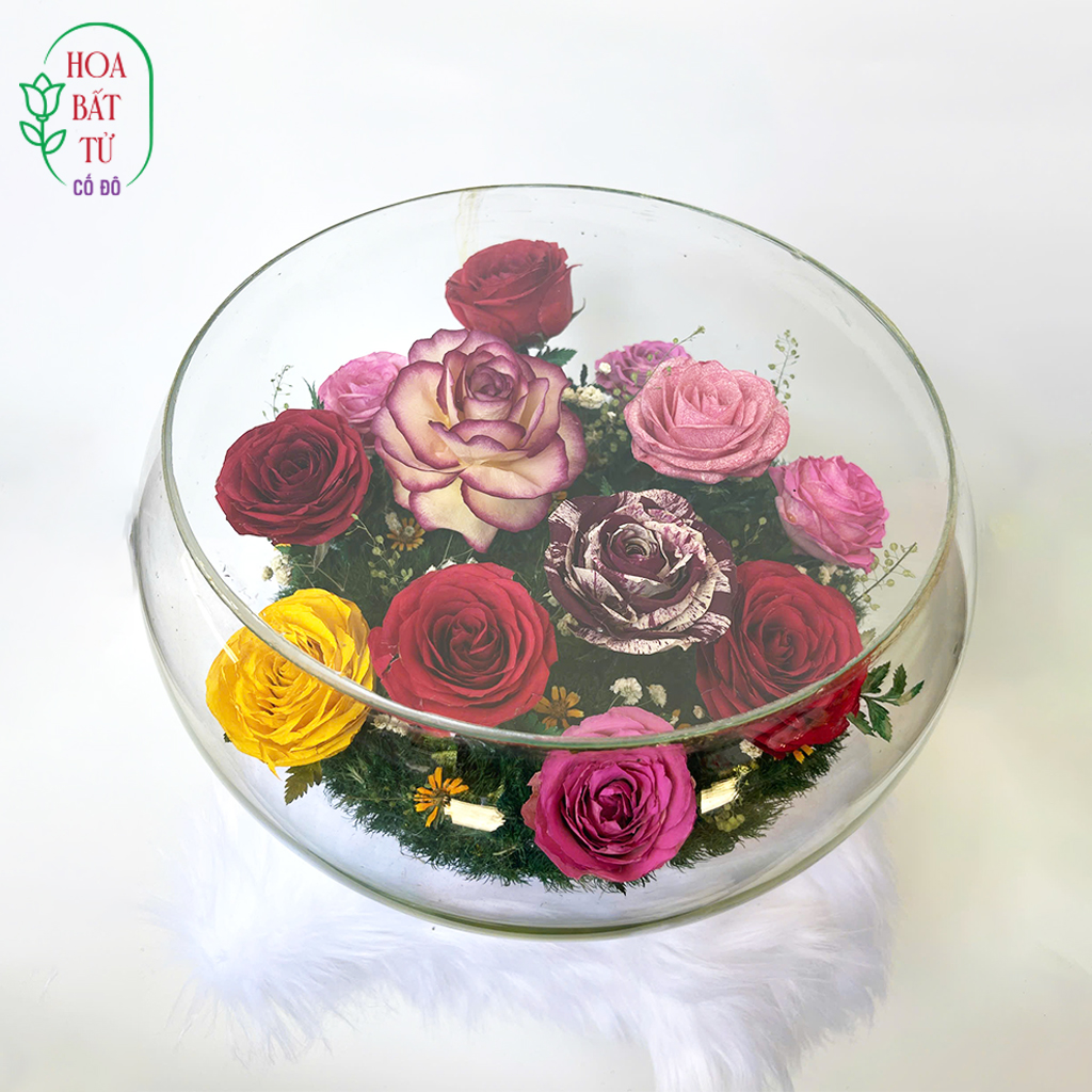 Ngọc Cầu Hồng Vũ