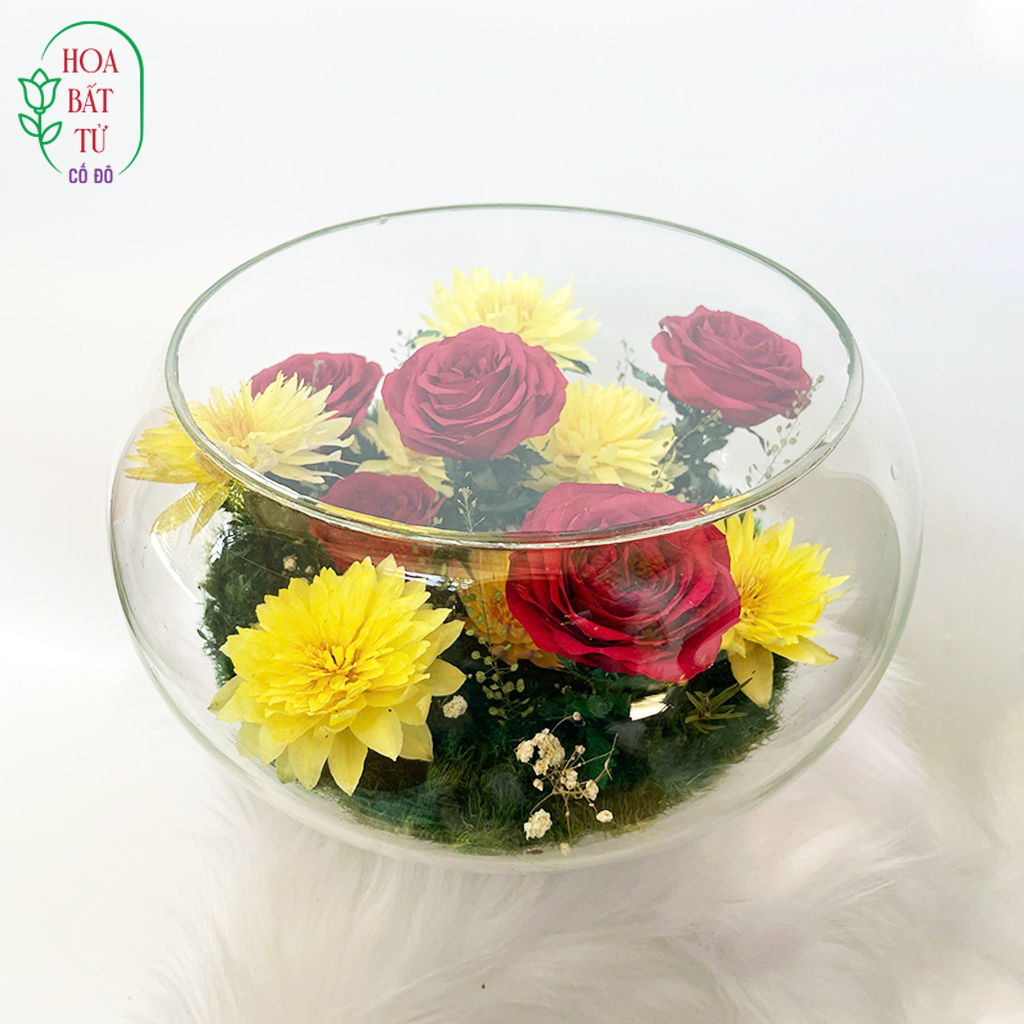 Minh Châu Đỏ Vàng