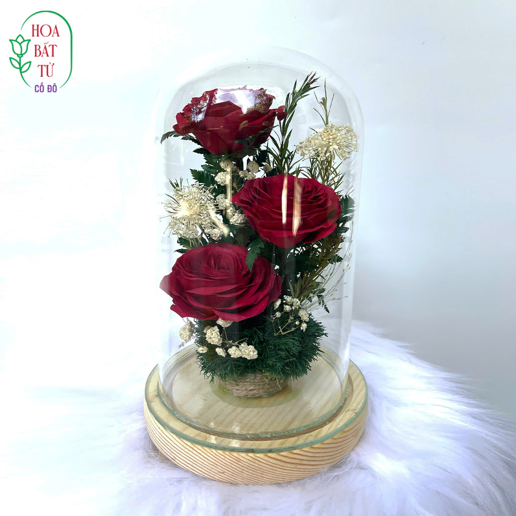 Tam Sắc Tình Yêu